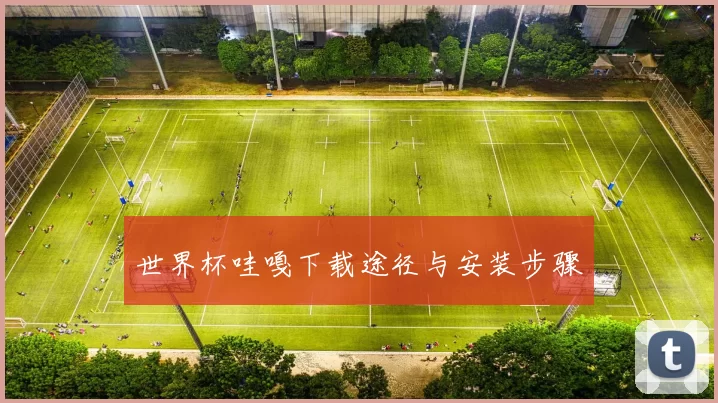 世界杯哇嘎下载途径与安装步骤