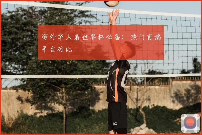 海外华人看世界杯必备：热门直播平台对比