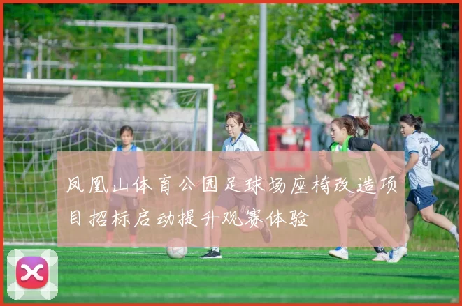 凤凰山体育公园足球场座椅改造项目招标启动提升观赛体验