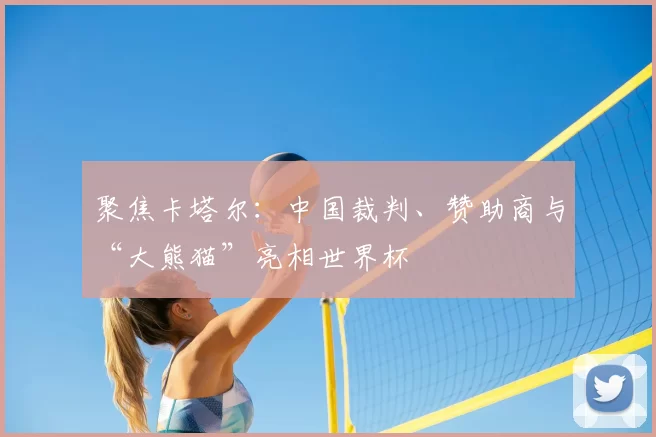 聚焦卡塔尔:中国裁判、赞助商与“大熊猫”亮相世界杯