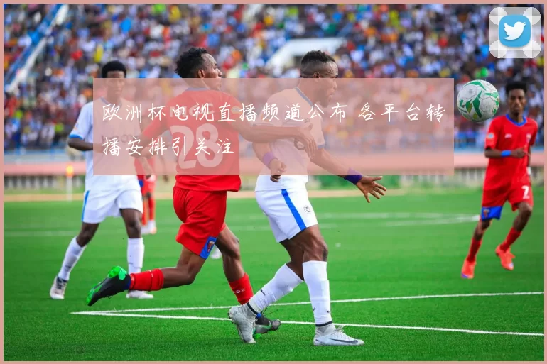 欧洲杯电视直播频道公布 各平台转播安排引关注